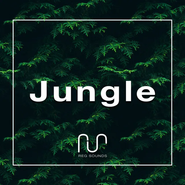 Jungle