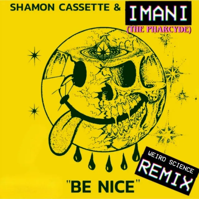 BE NICE (REMIX)