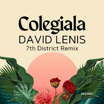 Colegiala (7th District Remix) by David Lenis