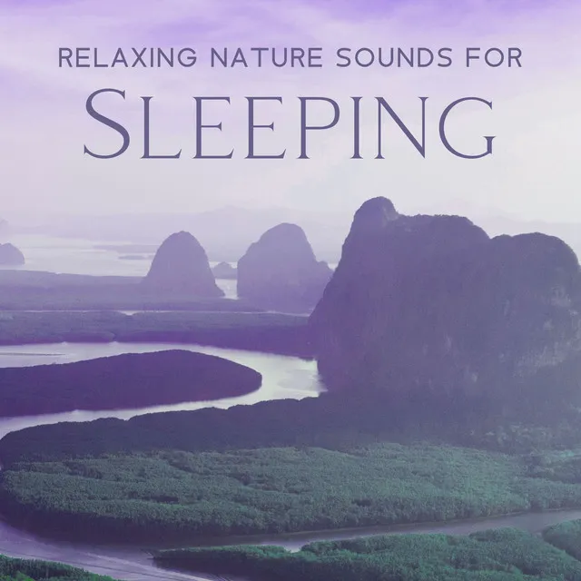 Relaxing Nature Sounds For Sleeping - Calm Forest, Waves, Gentle Rivers, Bird Songs | Meditation Music