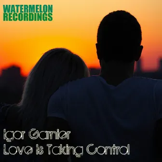 Love Is Taking Control by Igor Garnier