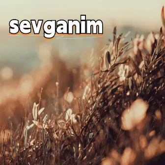 sevganim by Ramila