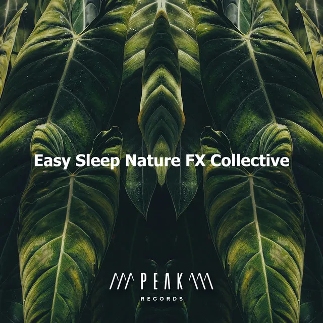 Easy Sleep Nature FX Collective