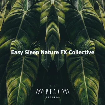 Easy Sleep Nature FX Collective by Nature Radiance