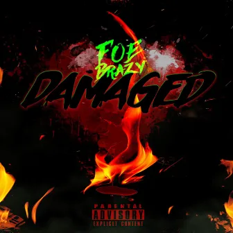 Damaged by FOE Brazy