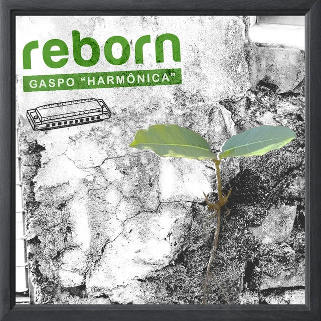 Reborn