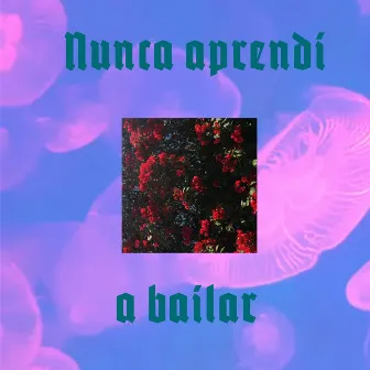 Nunca Aprendí A Bailar by Unknown Artist