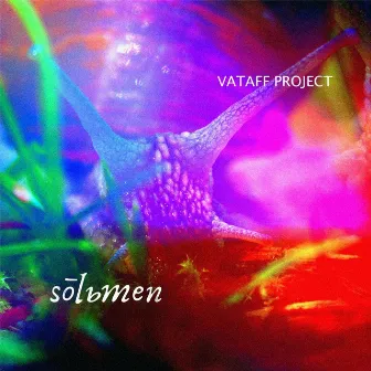 Solьmen by Vataff Project