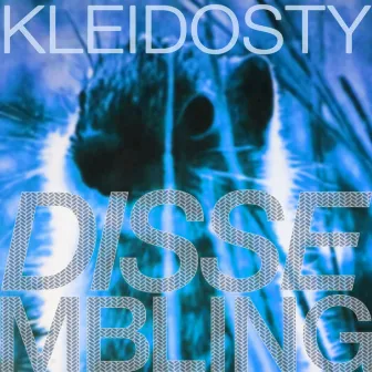 Dissembling by Kleidosty