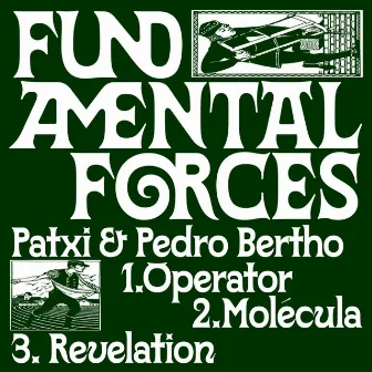 Fundamental Forces by Pedro Bertho