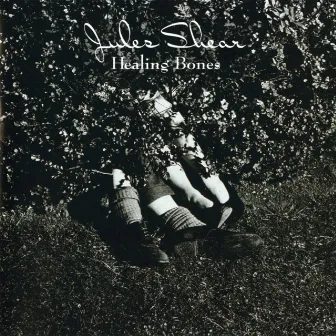 Healing Bones by Jules Shear