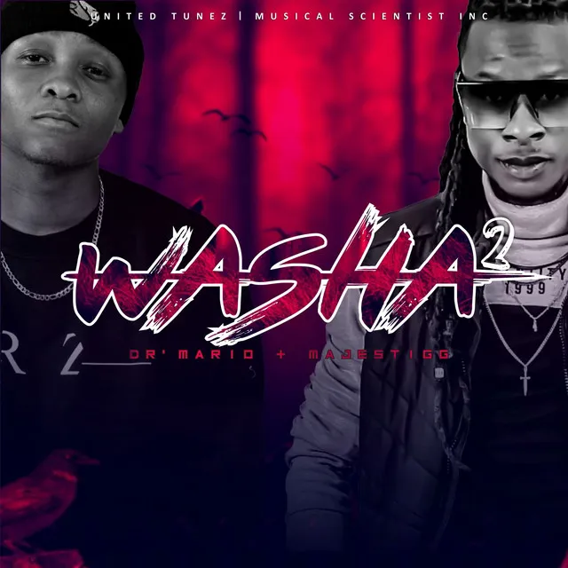 Washa 2