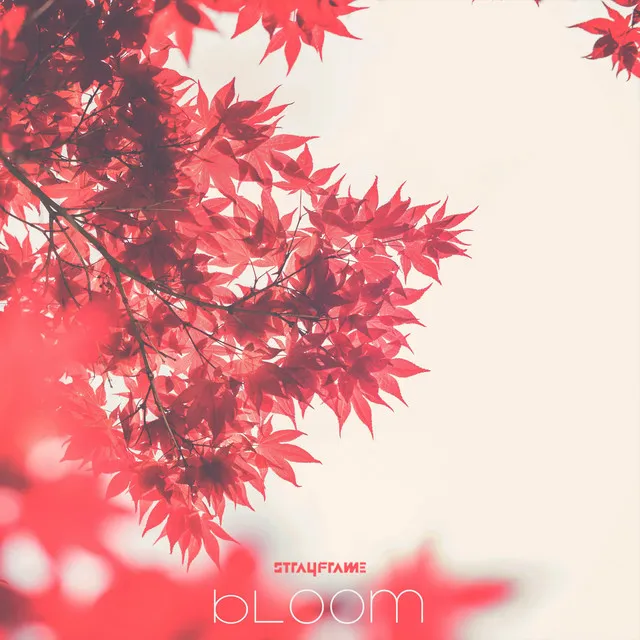 Bloom