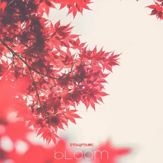 Bloom by Strayframe