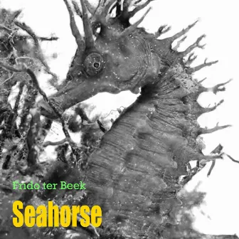 Seahorse by Frido Ter Beek