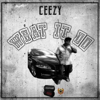 What It Do (Radio Edit) by Ceezy