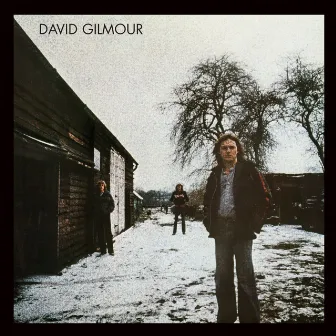 David Gilmour by David Gilmour