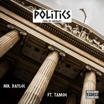 Politics by Mr. Daylee