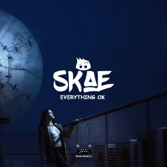 Everything Ok by Skae