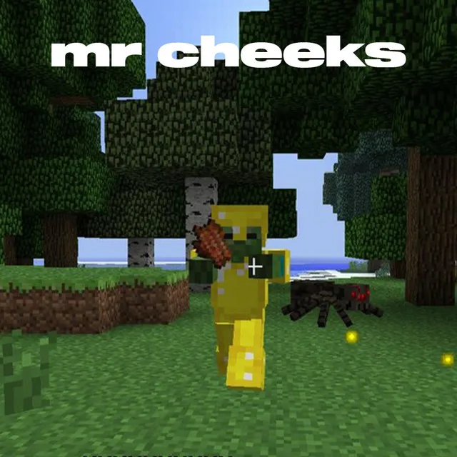 Mr Cheeks