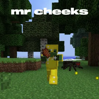 Mr Cheeks by Vxid