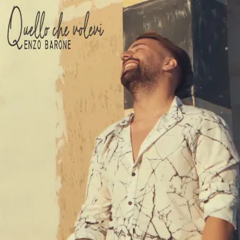 Quello Che Volevi by Enzo Barone