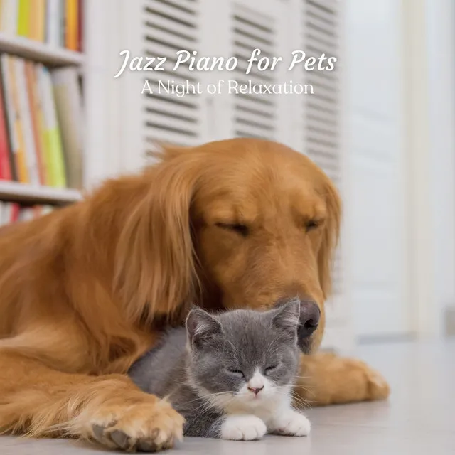 Jazz Piano for Pets: A Night of Relaxation