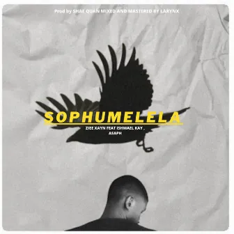 Sophumelela by Ziee Xayn