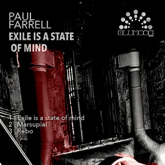 Exile Is A State Of Mind by Paul Farrell