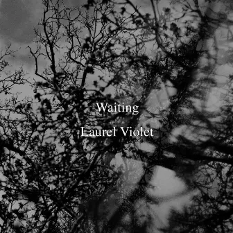 Waiting by Laurel Violet