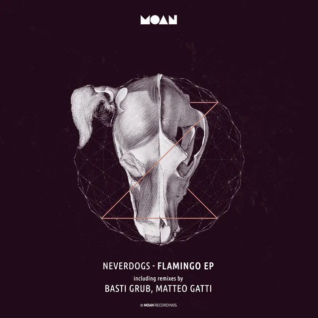 Flamingo Fool - Matteo Gatti Remix