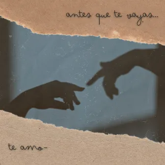 Antes Que Te Vayas, Te Amo by Adrian Alburez