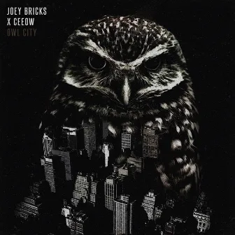 Owl City by Joey Bricks