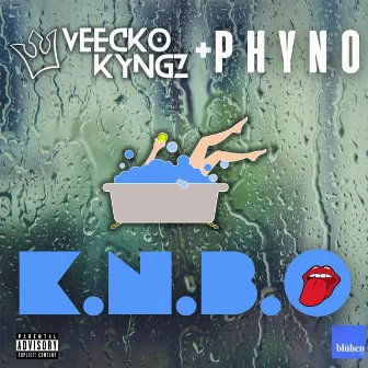 Kedu Ncha Bu Omo by Veecko Kyngz