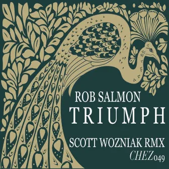 Triumph by Rob Salmon