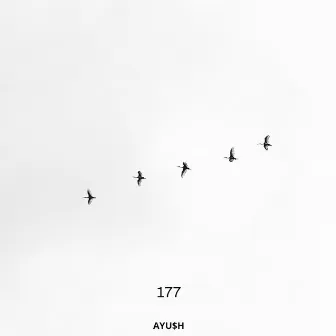 177 by AYU$H