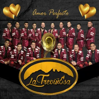 Amor Perfecto by La Treviñosa