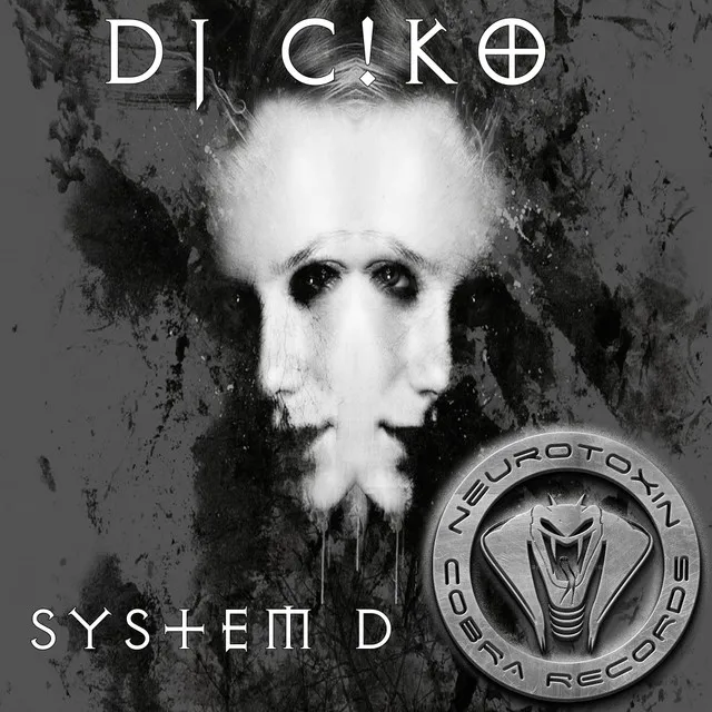 System D