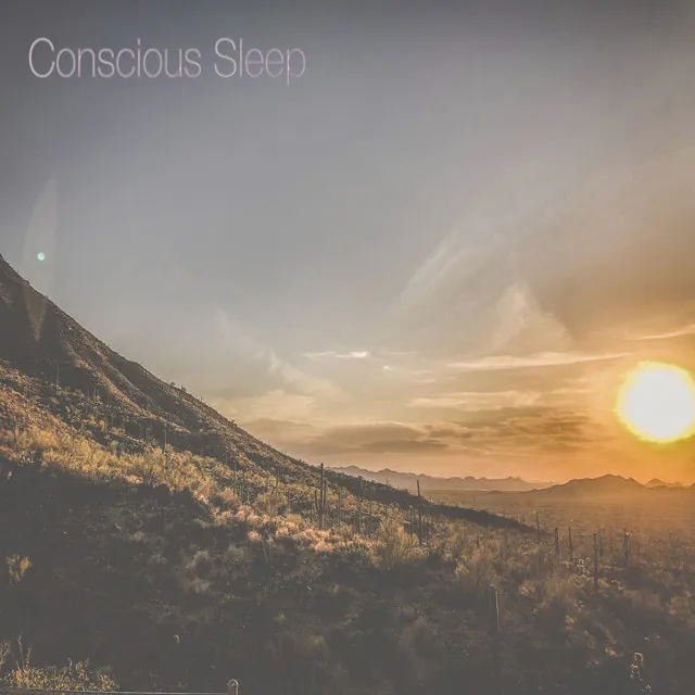 Conscious Sleep