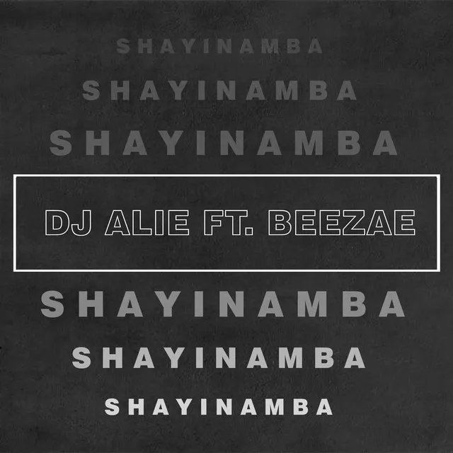 Shayinamba