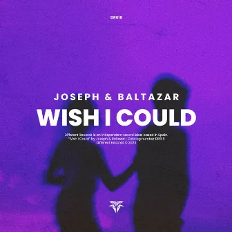 Wish I Could by Joseph&Baltazar