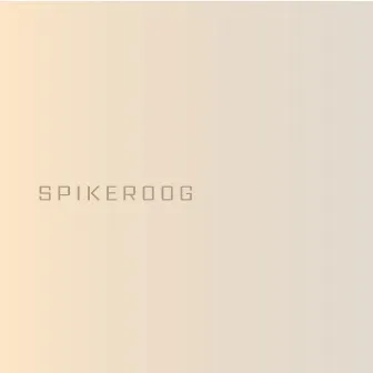 Spikeroog by Walter Mitskoff