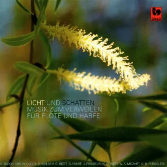 Licht und Schatten by Fabienne Sulser