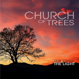 The Dark & the Light by Church of Trees