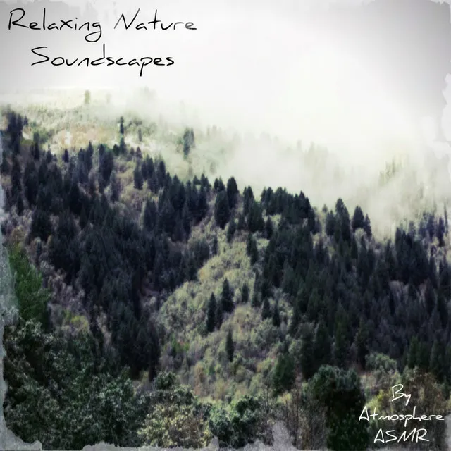 Relaxing Nature Soundscapes