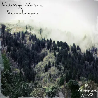 Relaxing Nature Soundscapes by Atmosphere Asmr