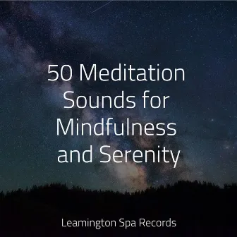 50 Meditation Sounds for Mindfulness and Serenity by Study Power