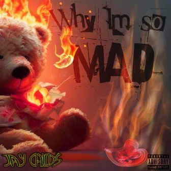 Why Im So Mad by Jay Childs