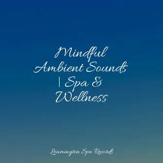 Mindful Ambient Sounds | Spa & Wellness by Nature Sounds Collection