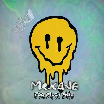 Too Much Acid by Mr Kane